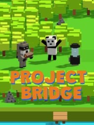 Project Bridge