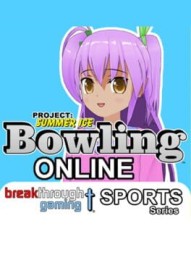 Project: Summer Ice Bowling Online