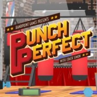 Punch Perfect