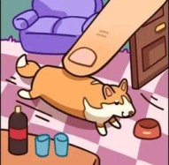 Push Corgi