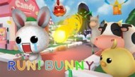Run! Bunny