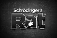Schrödinger's Rat