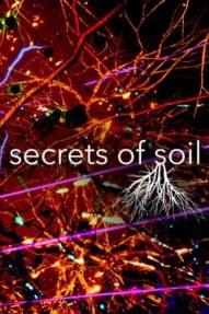 Secrets Of Soil