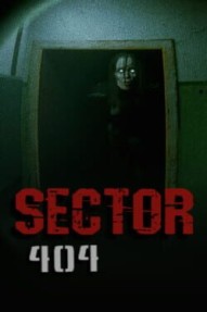 Sector 404
