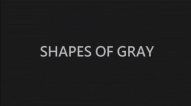 Shapes of Gray