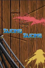 Slicing Slicing