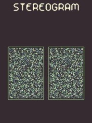 Stereogram