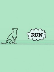 The Dog Run