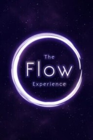 The Flow Experience