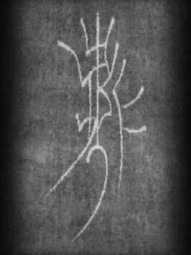 The Lost Tetekoa