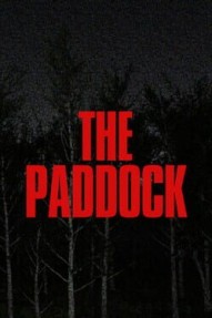 The Paddock
