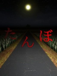 The Paddy Field