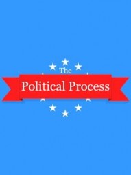 The Political Process