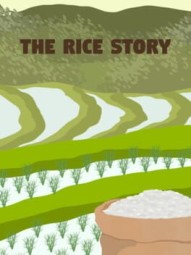 The Rice Story