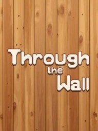 Through the Wall