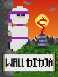 Wall Ninja