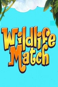 Wildlife Match