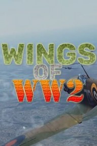 Wings Of WW2