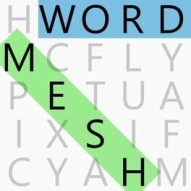 Word Mesh