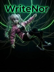 WriteNor
