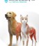 Animal Anatomy VR