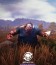 State of Decay 2: Curveball Update